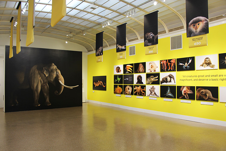 National Geographic Photo Ark exhibition by Joel Sartore at Southampton Arts Center