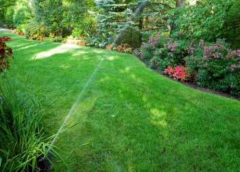 RB Irrigation sprinkler lawn and flowers