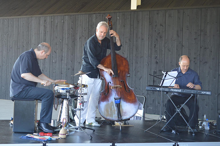 Nilson Matta's trio, Photo: Hazel Hutchins