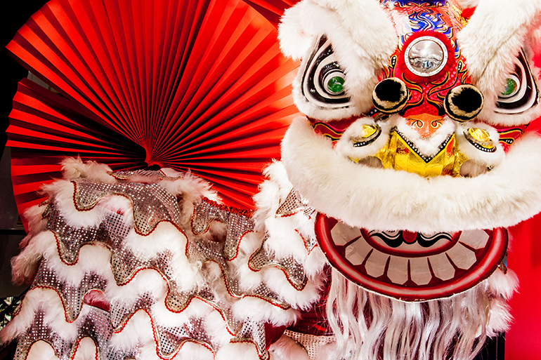 Traditional colorful Chinese new year lion with red fan as background