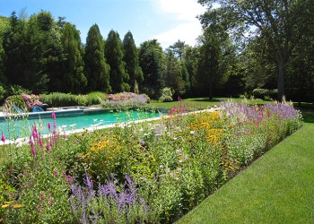 Swimming pool and garden by Unlimited Earth Care