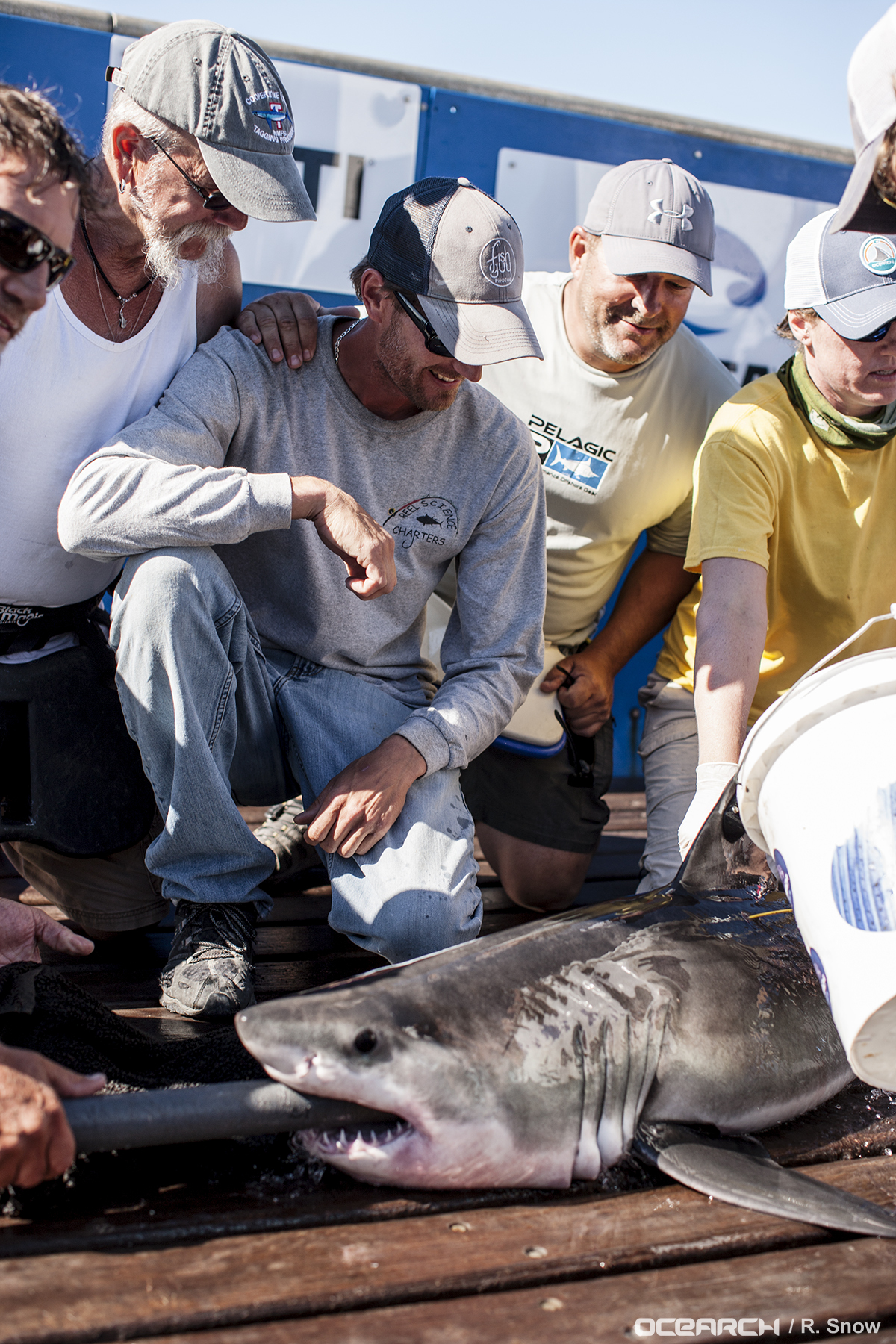 Greg Metzger working with Ocearch