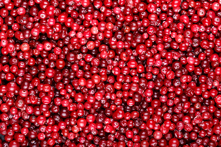 ripe cranberries are scattered as a background, an organic vitamin product for strengthening immunity
