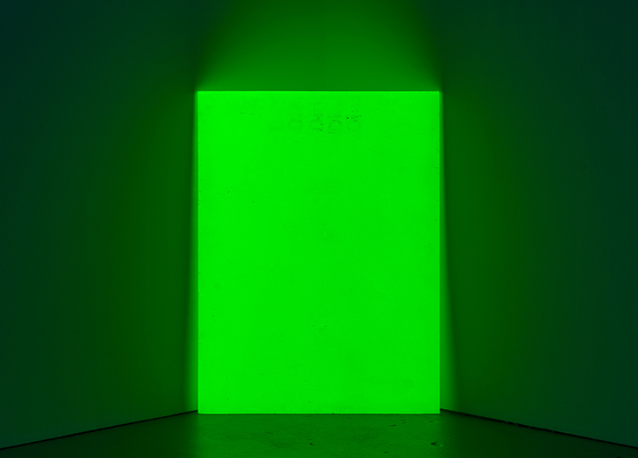 Dan Flavin Art Institute installation by Jacqueline Humphries, Photo: Jason Mandella