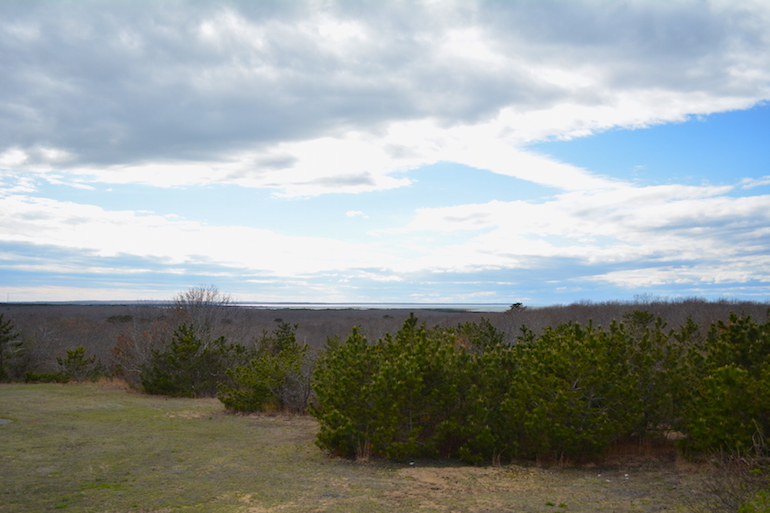 Hither Hills State Park, Photo: David Taylor