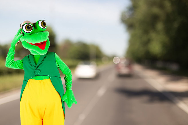 Frogger in real life, Hamptons style