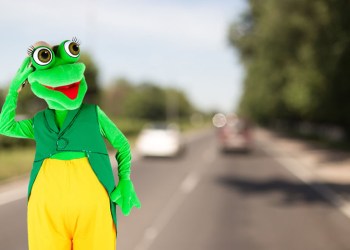 Frogger in real life, Hamptons style