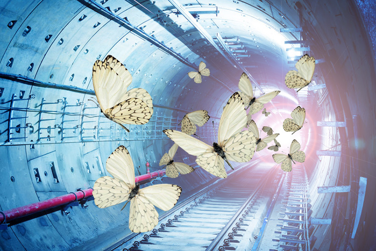 White butterflies in Hamptons Subway tunnel with train light heading toward them