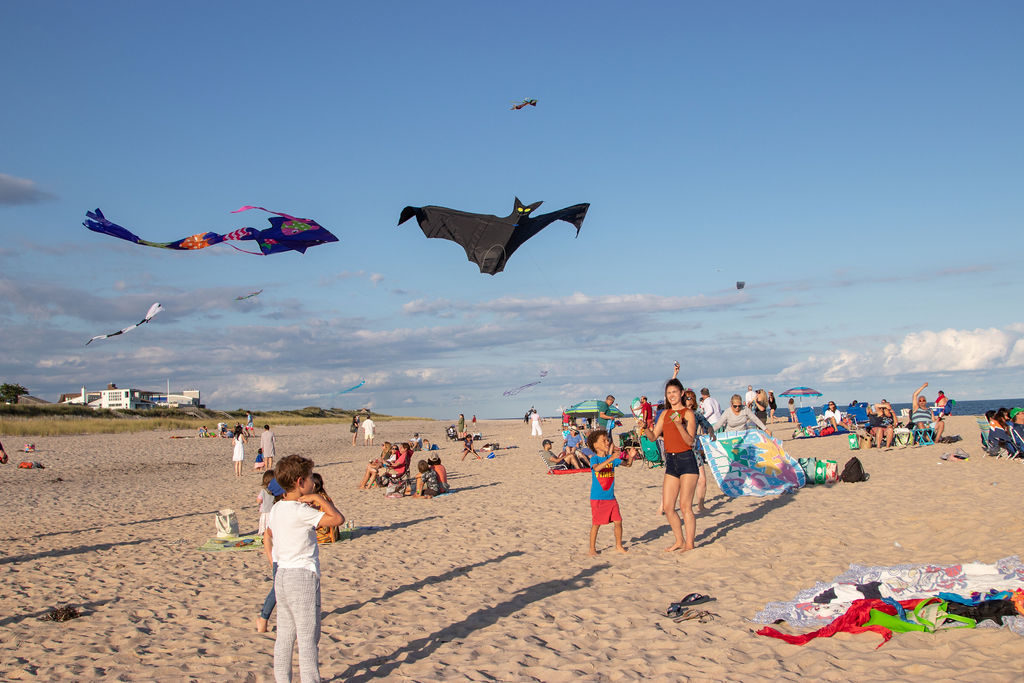 Dan's Kite Fly 2019, a Hamptons Tradition
