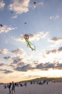 Dan's Kite Fly 2019