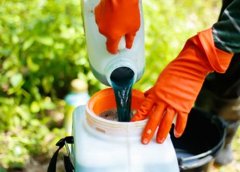 Solvent from Southampton lake