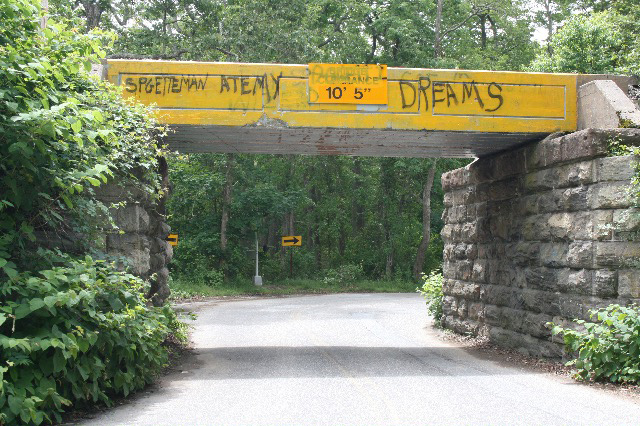 Spaghetti Man Ate My Dreams overpass