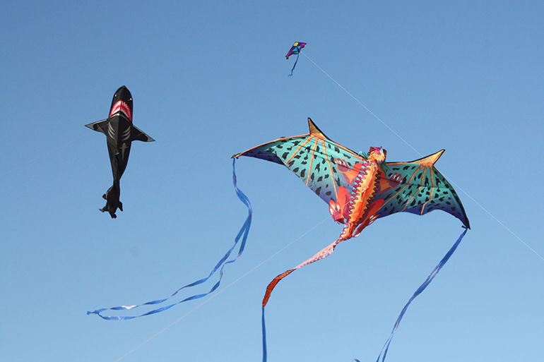 Dan's Papers Kite Fly, Photo: Tom Kochie