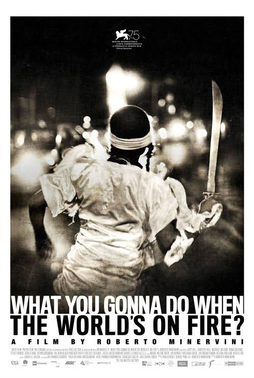 What You Gonna Do When the World's on Fire poster