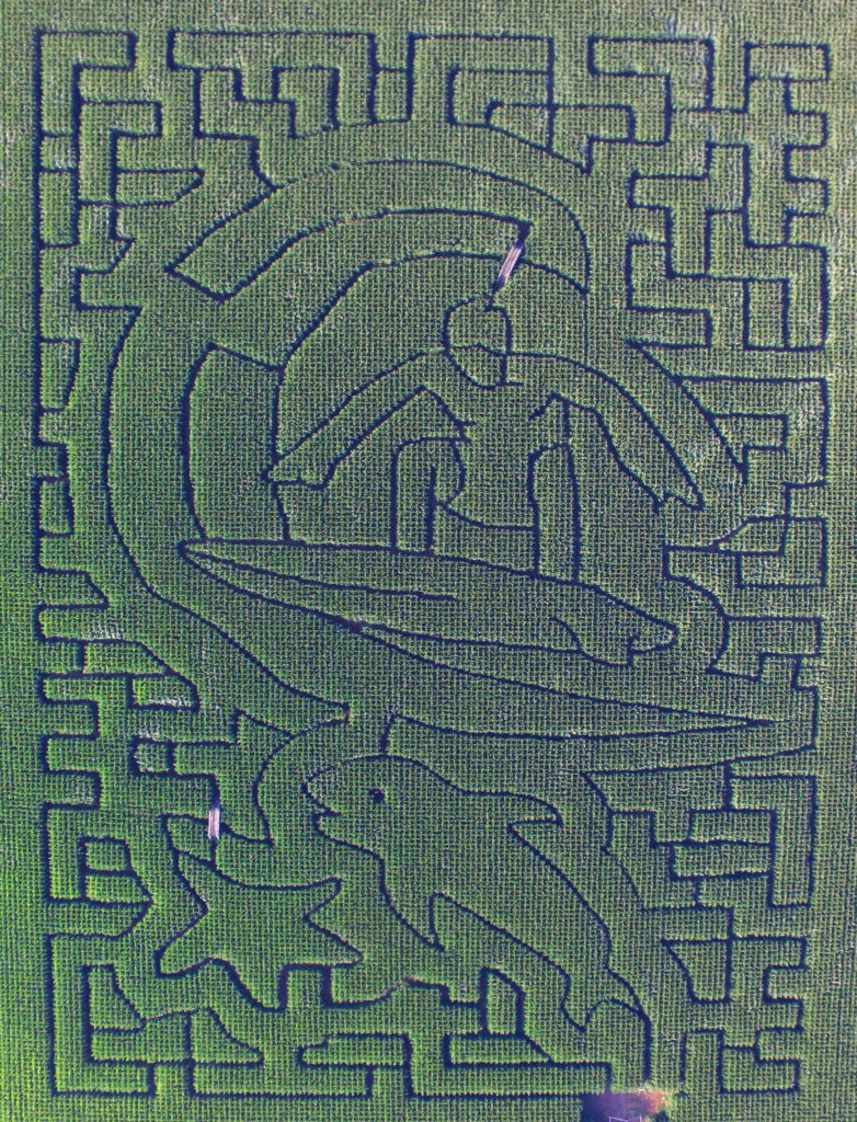 The full Fairview Farm Corn Maize 2019 design