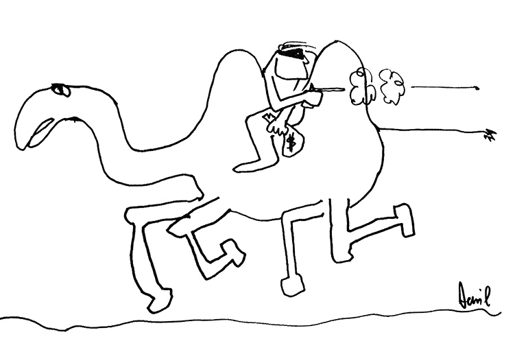 Dan camel bandit cartoon