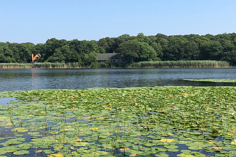 Great Pond in Southold