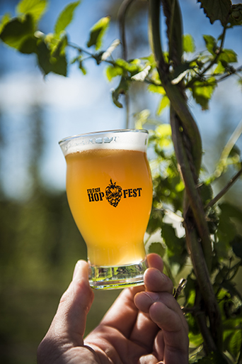 One of the many Long Island Hop Festival beers