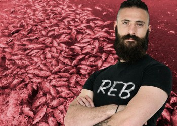 Reb Raymer new fish kill
