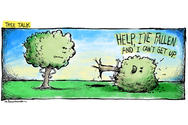 Tree Talk cartoon by Mickey Paraskevas