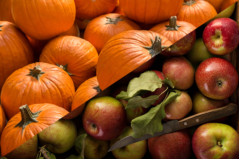 Freshly picked apples and pumpkins