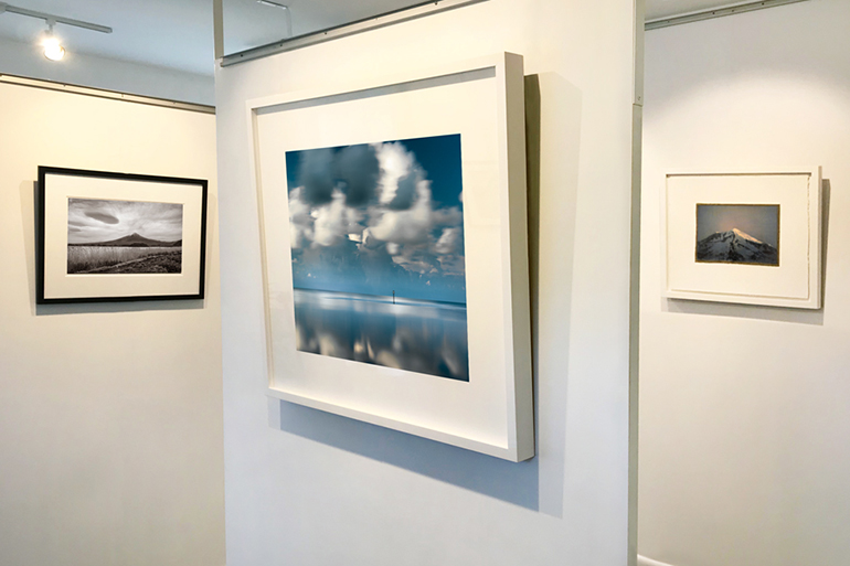 "Grandscapes" exhibition at Alex Ferrone Gallery