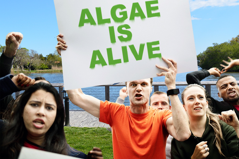 CHAMP's pro-blue-green algae protestors at Lake Agawam in Southampton