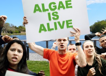 CHAMP's pro-blue-green algae protestors at Lake Agawam in Southampton
