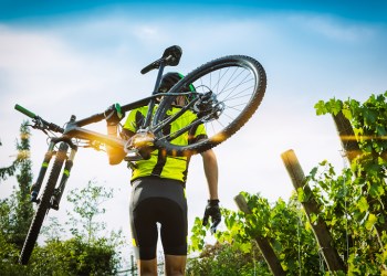 Bicycle cyclist at vineyard