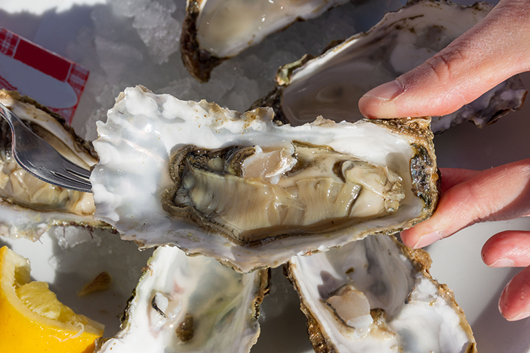 oyster tasting
