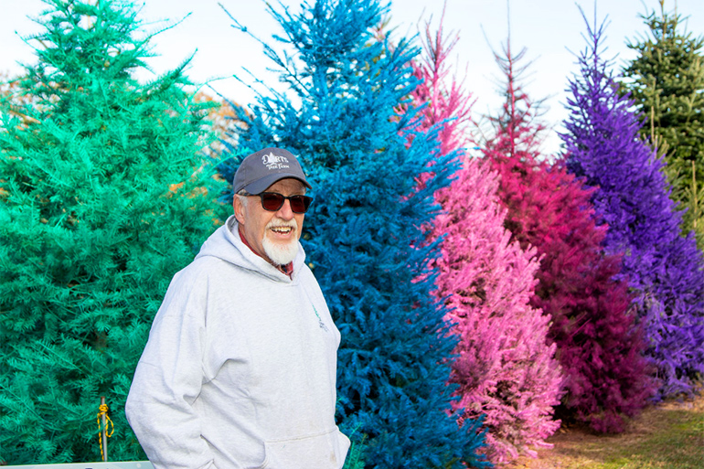 Ed Dart with his colored trees at Dart's Tree Farm