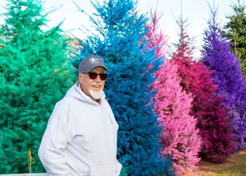 Ed Dart with his colored trees at Dart's Tree Farm