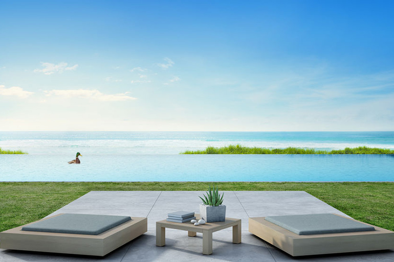 Swimming pool wetlands with duck