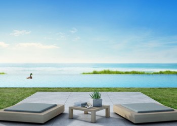 Swimming pool wetlands with duck