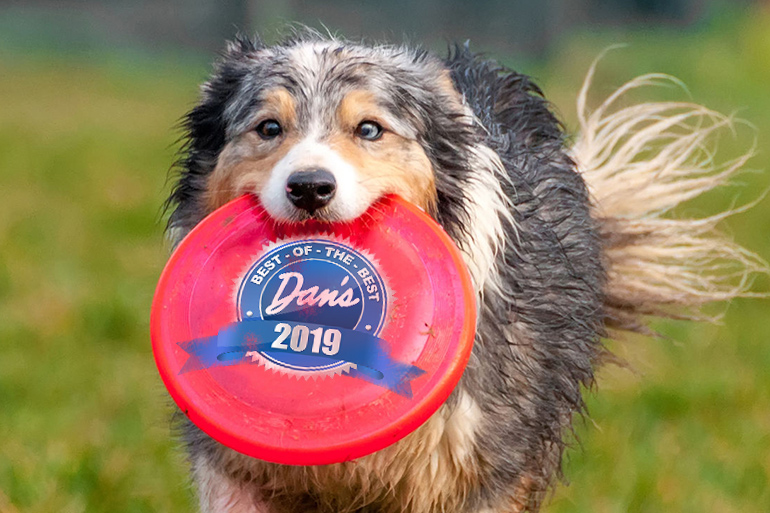 Dan's Best of the Best 2019 South Fork and North Fork Dog Breeder Winners East End