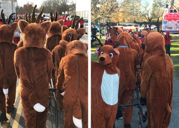 Santa's reindeer, old and new, in East Hampton