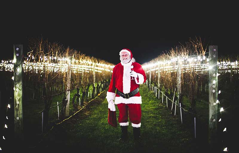 The Wölffer Estate Lighting of the Vines