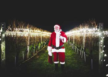 The Wölffer Estate Lighting of the Vines