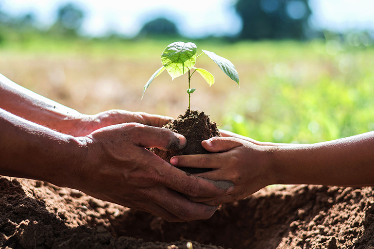 father and children help plant trees to help reduce global warming.