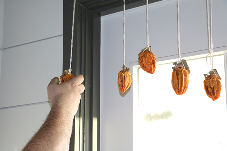 Persimmons add flavor and color to the space Chef Kyle Koenig in the Preston House kitchen