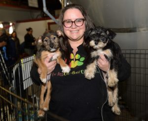 Nicole from One Love Dog Rescue with two adoptable pups