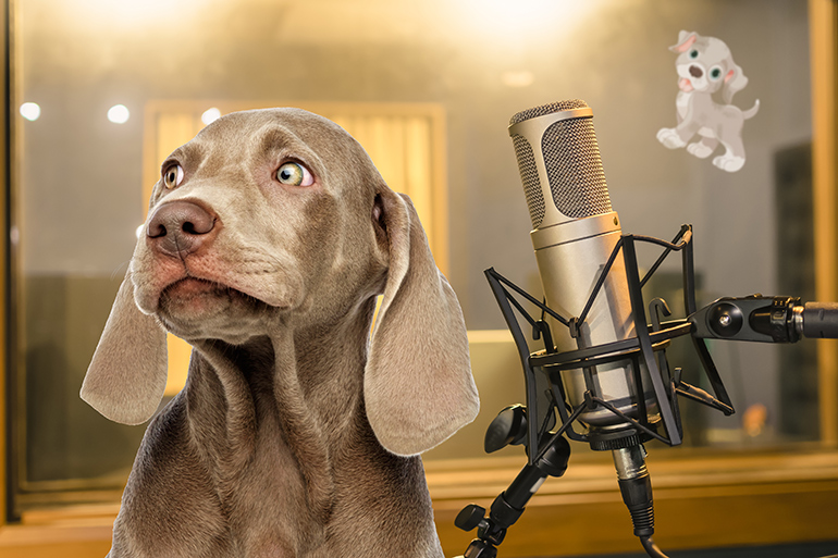 Dog in voice recording studio