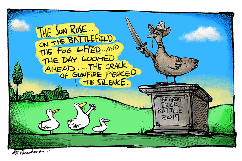 Duck battle cartoon by Mickey Paraskevas