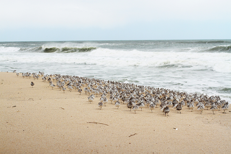 Main Beach