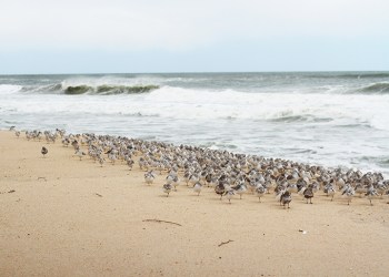 Main Beach