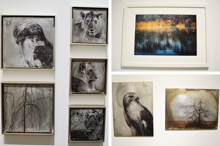 Kerry Sharkey-Miller's prints on display at Southampton Arts Center