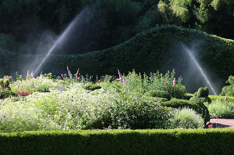 RB Irrigation sprinklers over flowers