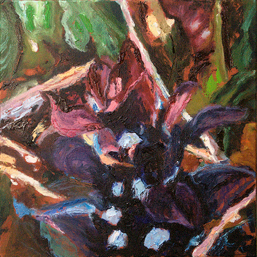 Ajuga by Ty Strousburg