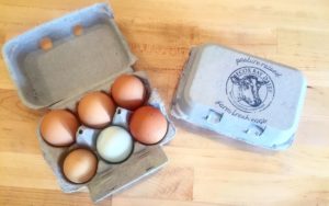 Mecox Bay Dairy eggs