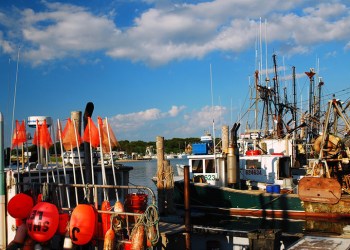 Montauk commercial fishing fleet